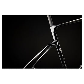 Seka Spear RDC Frameset-Chronos