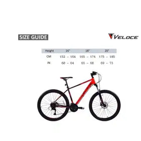 Veloce V300