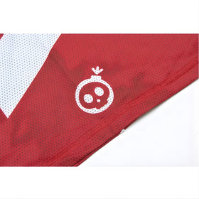 Skull Monton Wednesday Bandana-Brick Red