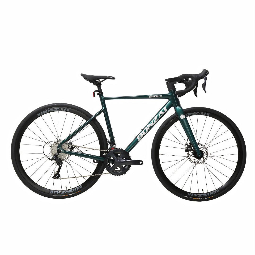 Bonzai Endurance18 Road Bike