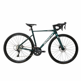 Bonzai Endurance18 Road Bike