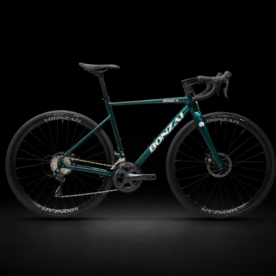 Bonzai Endurance18 Road Bike