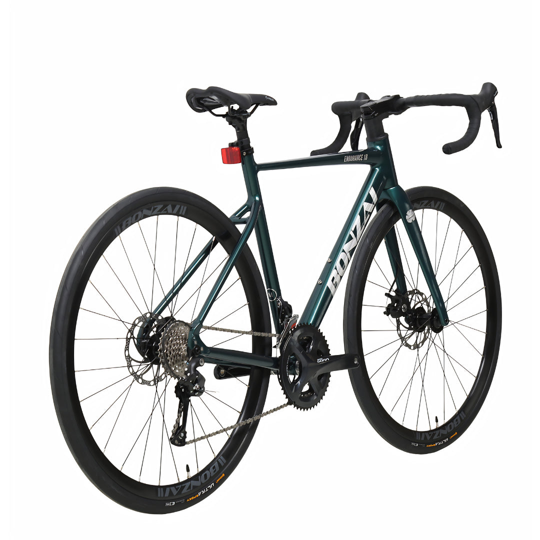 Bonzai Endurance18 Road Bike