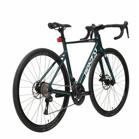 Bonzai Endurance18 Road Bike