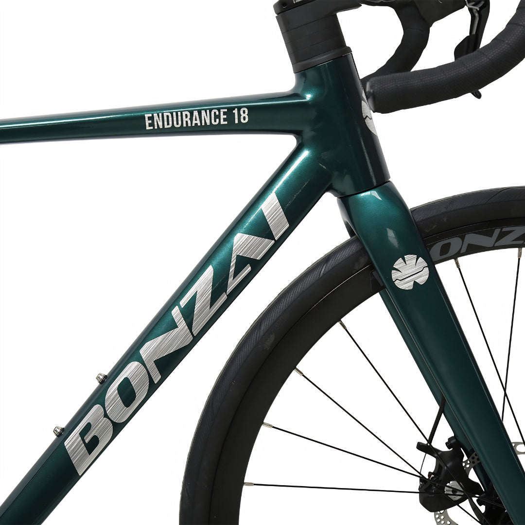 Bonzai Endurance18 Road Bike