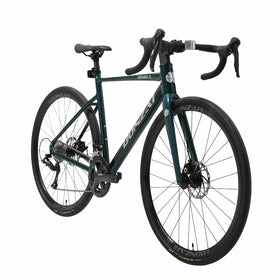 Bonzai Endurance18 Road Bike