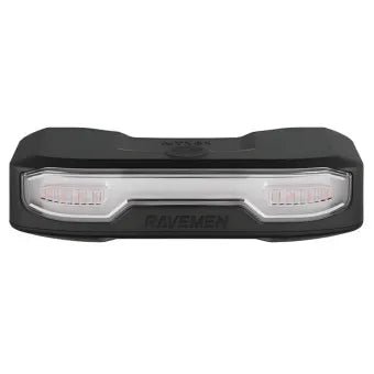 NT101 Rear light & Indicators