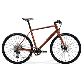 2026 SPEEDER 500