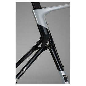 Seka ExAero GR RDC Frameset-Stardust Silver