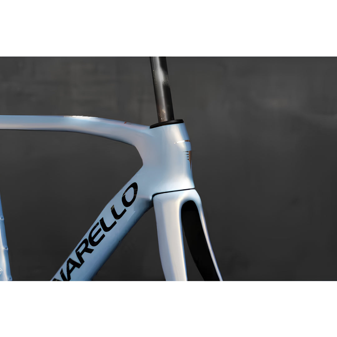 Pinarello Dogma F Road Frameset (Luxter Venice)