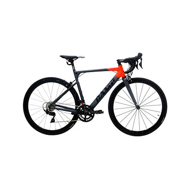 Camp Impala (Grey Orange) - 50