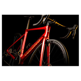 Colnago Frame Kit V04 Disc - 420 (Red)