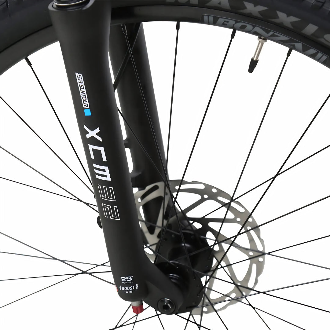 Bonzai Spear12 XC MTB