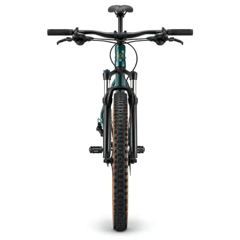 Marin Dsx 1