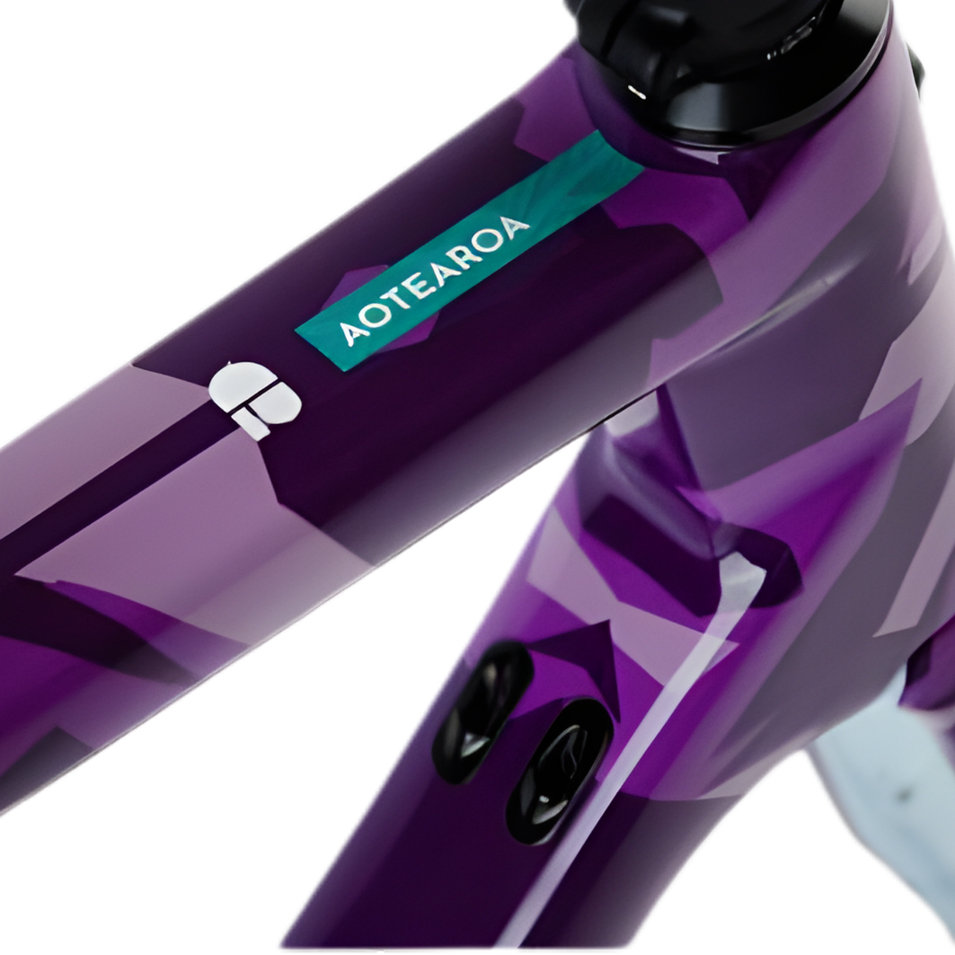 Chapter2 TERE All-Road Disc Brake Frameset-Purple Sky