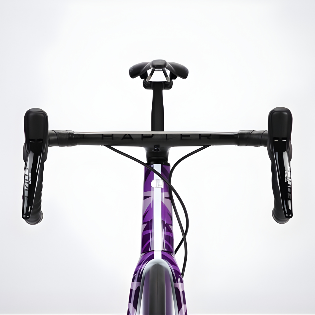 Chapter2 TERE All-Road Disc Brake Frameset-Purple Sky
