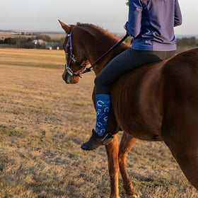 Sox Horseshoe Knee High Socks