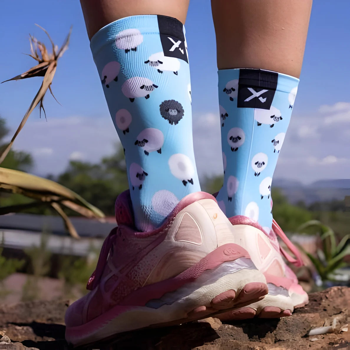 Sox Sheep Casual Crew Socks