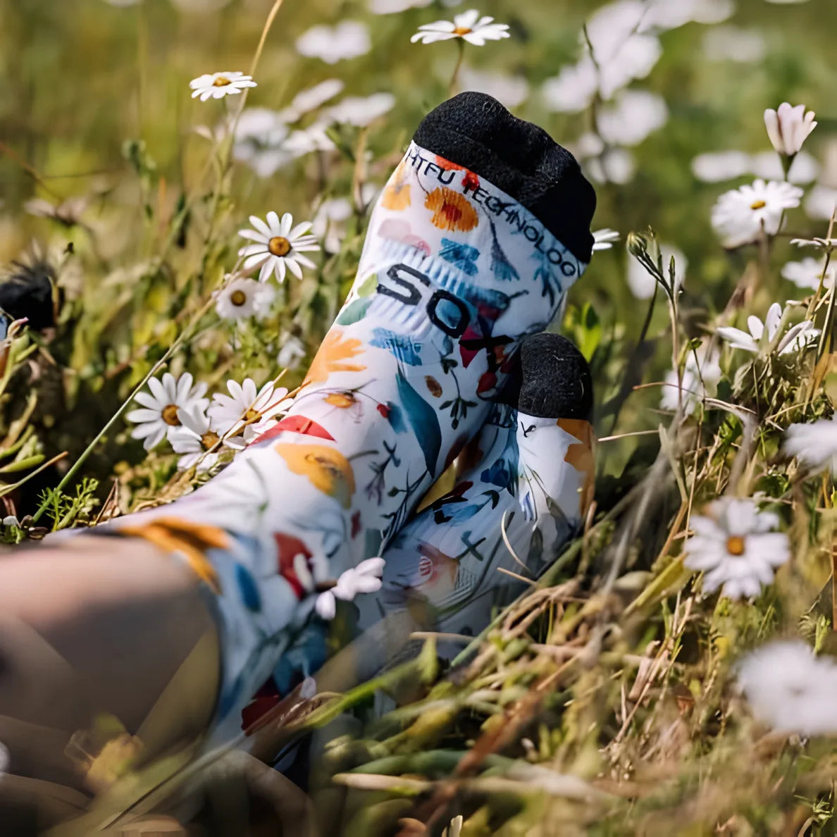 Sox Meadow Casual Crew Socks