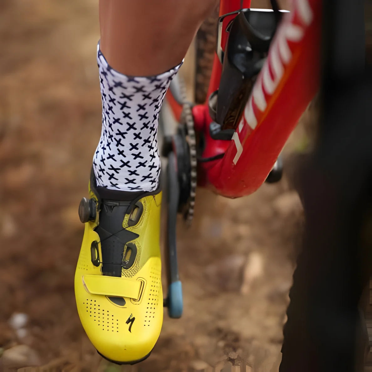 Sox Cross Casual Crew Socks