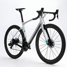 Chapter2 AO Gravel Disc Brake Frameset-Silver Matt