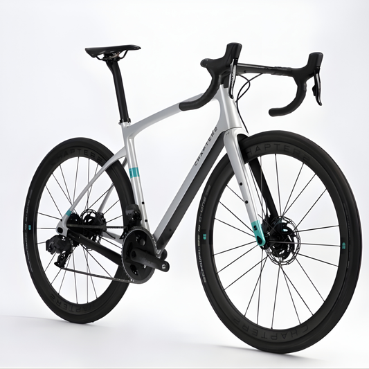 Chapter2 AO Gravel Disc Brake Frameset-Silver Matt