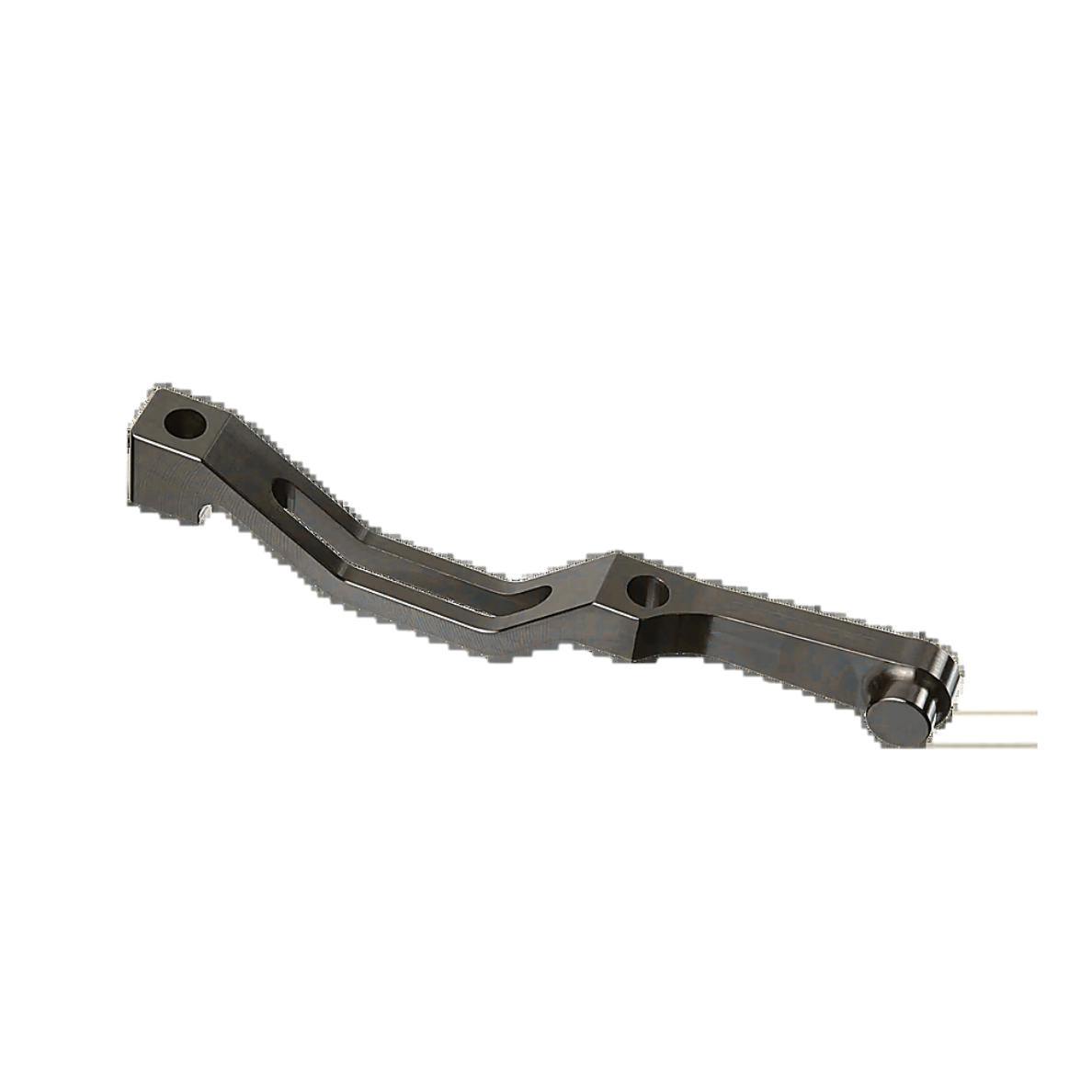 Rohloff PM Bone