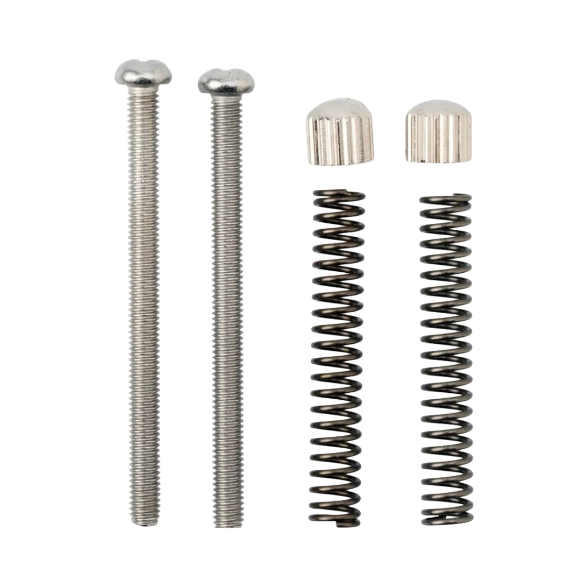 Surly Crosscheck Frame Replacement Dropout Screws Pair