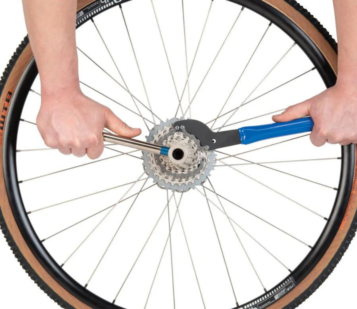 Shop Sprocket Remover / Chain Whip:  5- to 12- Speed Cassettes and Freewheels