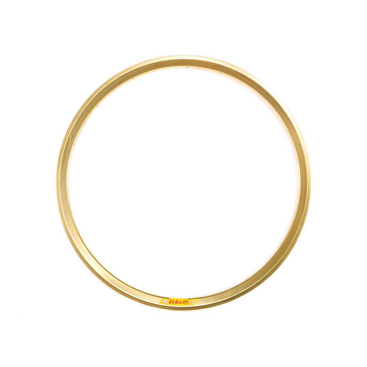 Velocity Deep V Rim, 700c 32h w/MSW, Gold PC