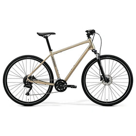 2026 CROSSWAY 100
