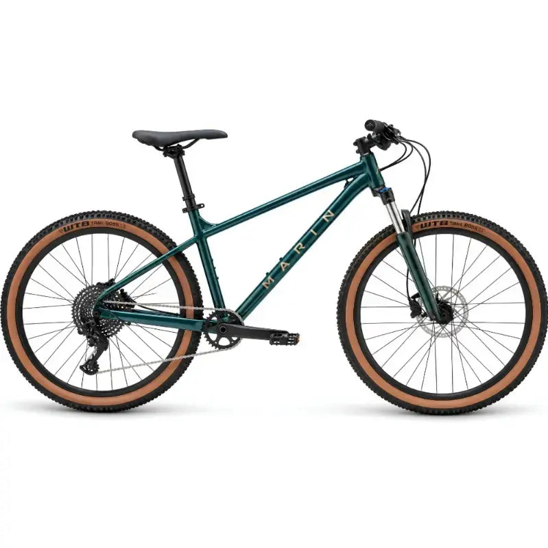 Marin Dsx 1