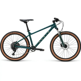 Marin Dsx 1